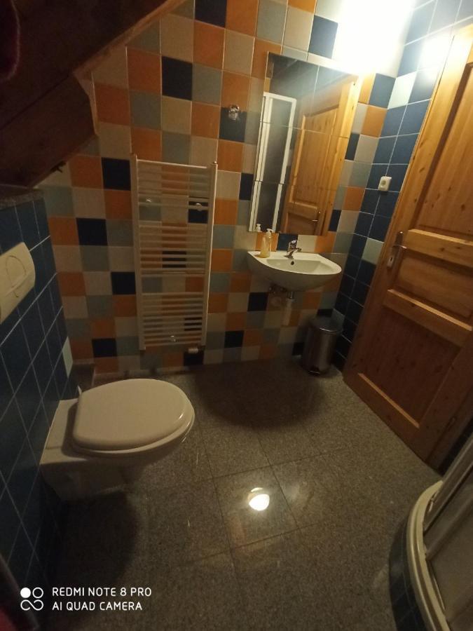 Penzion Avalanche Železná Ruda Kültér fotó